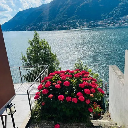 Paradise Vicino A Nesso E Bellagio